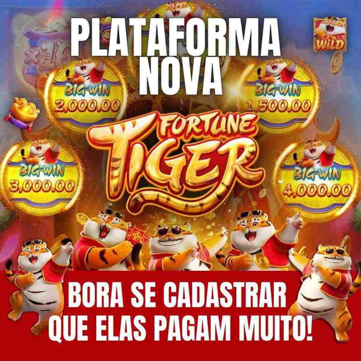 bet tigre paga mesmo