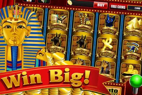 6655 bet online casino